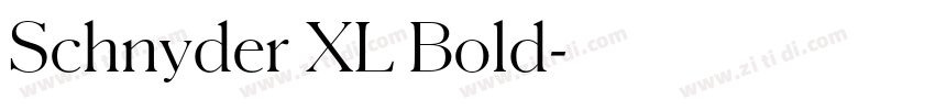 Schnyder XL Bold字体转换 Schnyder XL Bold字体转换